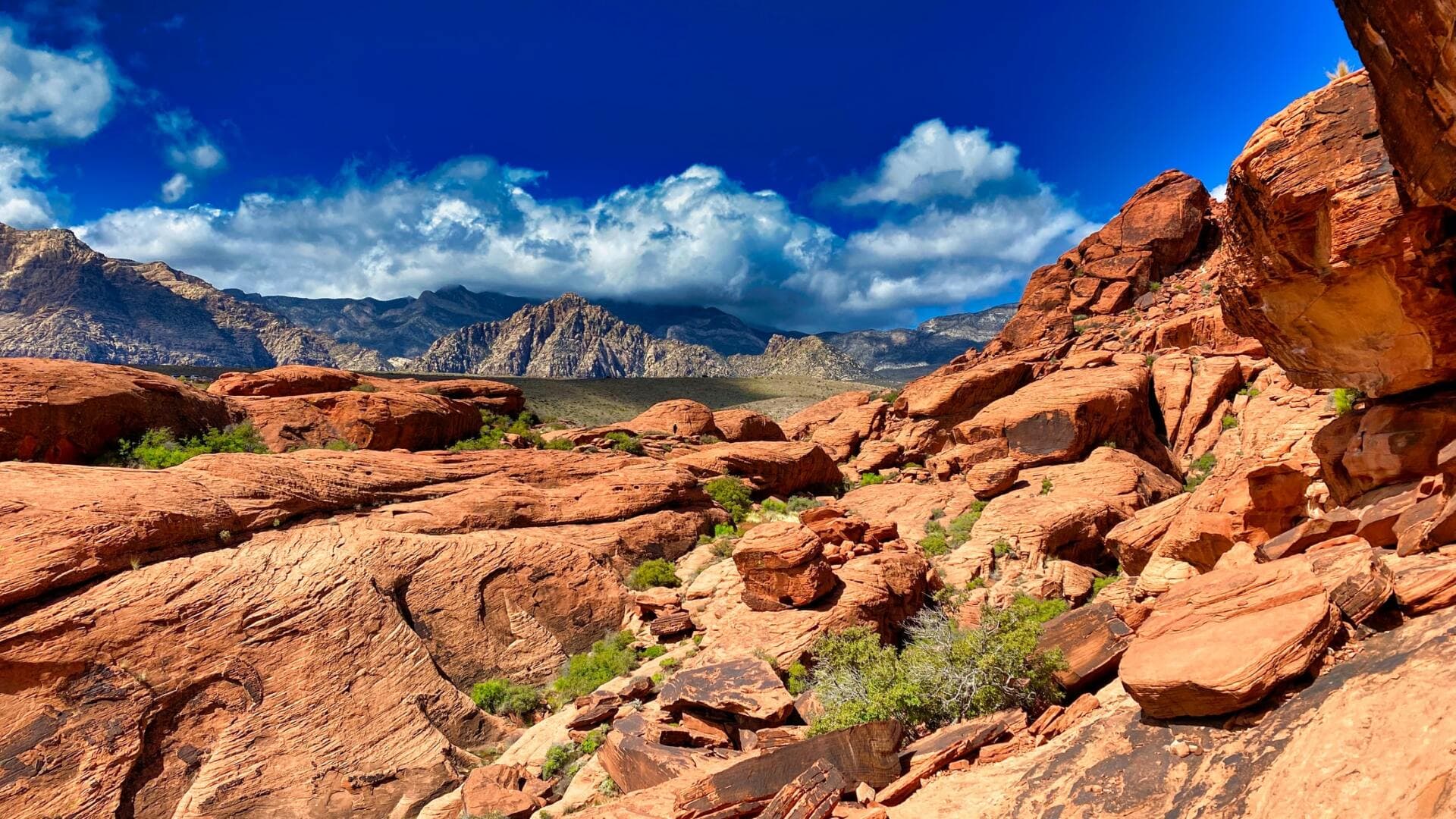 Self-Guided Valley Of Fire Slingshot Tour